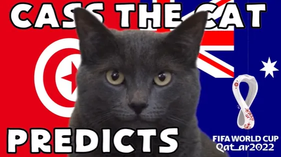 Highlight trận đấu Mèo tiên tri dự đoán kết quả trận Úc vs Tunisia | Xem lại trận đấu