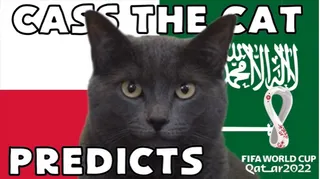 Highlight trận đấu Mèo tiên tri dự đoán sẽ có bất ngờ ở trận Ba Lan vs Ả Rập Xê Út | Xem lại trận đấu