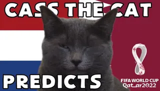 Highlight trận đấu Mèo tiên tri dự đoán kết quả trận Hà Lan vs Qatar | Xem lại trận đấu