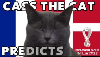 Highlight trận đấu Mèo tiên tri dự đoán thế nào về trận Pháp vs Đan Mạch? | Xem lại trận đấu