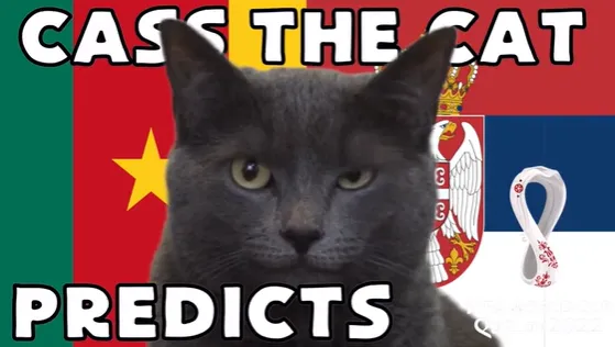 Highlight trận đấu Mèo tiên tri dự đoán kết quả trận Cameroon vs Serbia | Xem lại trận đấu
