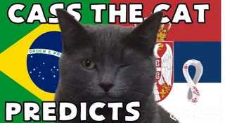 Highlight trận đấu Mèo tiên tri dự đoán sẽ có bất ngờ ở trận Brazil vs Thụy Sĩ? | Xem lại trận đấu